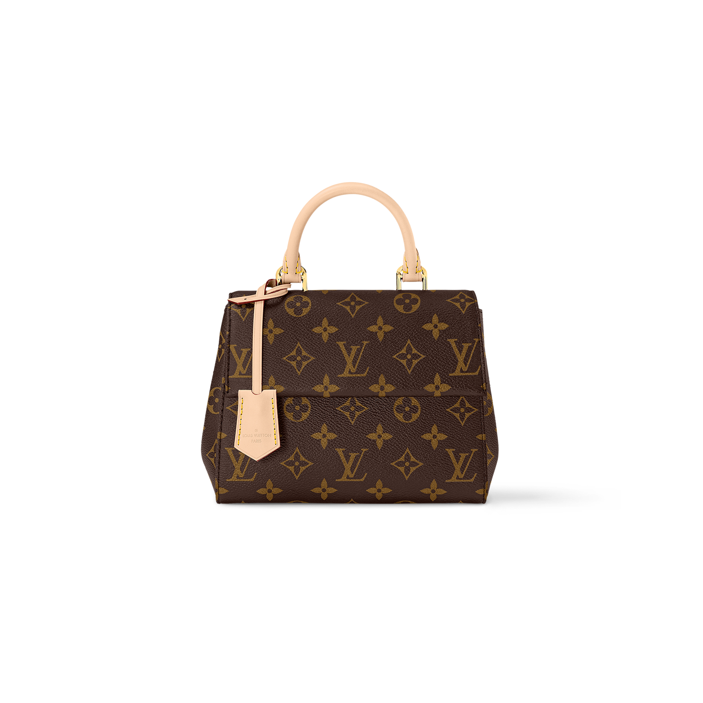 LOUIS VUITTON CLUNY MINI HANDBAG M46055 (20*16*7.5 cm)